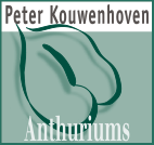 Peter Kouwenhoven